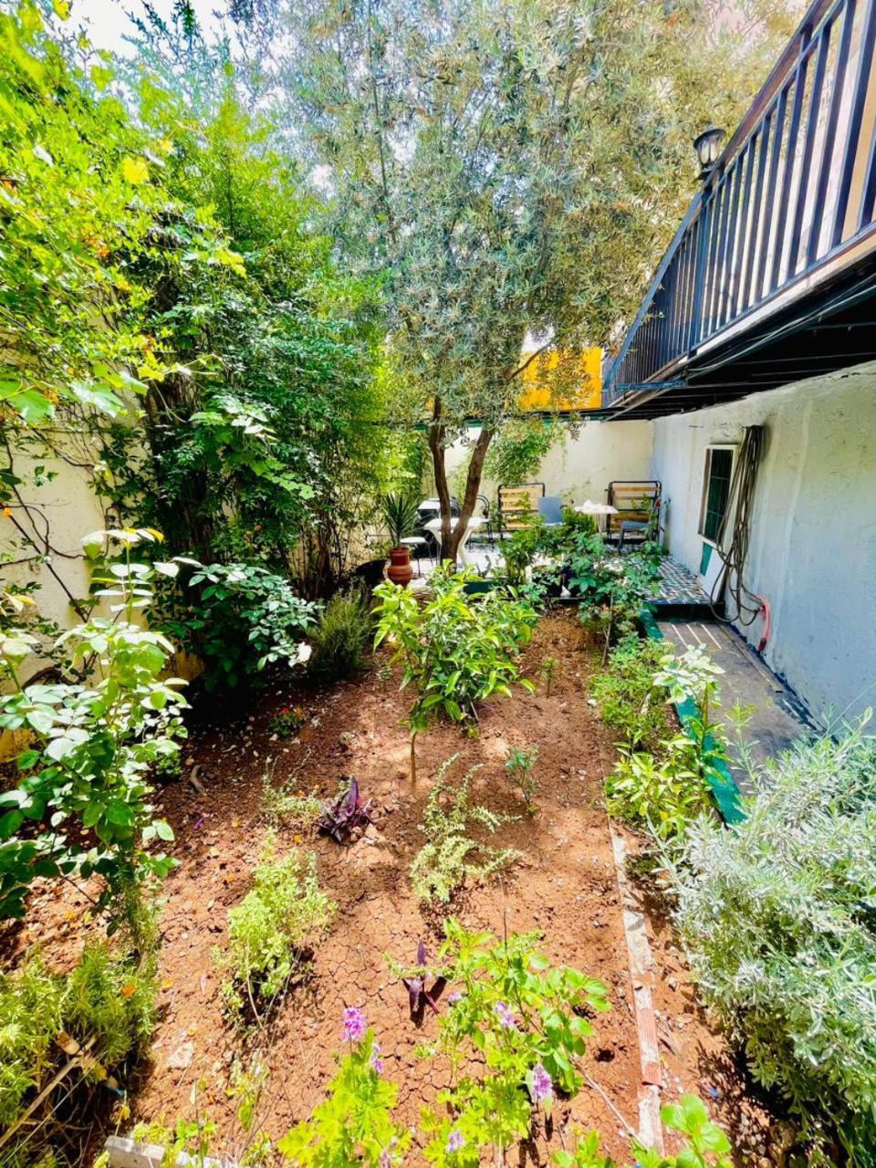 Dar Jardin Majorelle Fez Luaran gambar